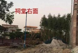 宜黄县媒体爆料最新消息,重大事件引发社会关注