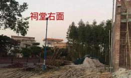 宜黄县媒体爆料最新消息,重大事件引发社会关注